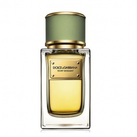 دولچه اند گابانا ولوت برگاموتDolce Gabbana Velvet Bergamot