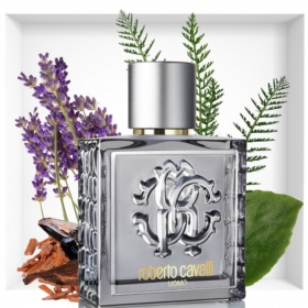 روبرتو کاوالی اومو سیلور اسنسRoberto Cavalli Uomo Silver Essence