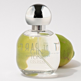 آرت د پارفوم جین اند تونیک کلونArt de Parfum Gin and Tonic Cologne