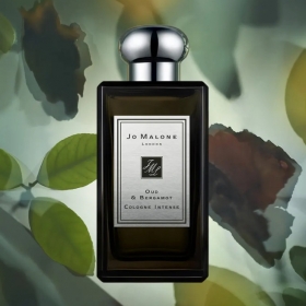 جو مالون عود اند برگاموتJo Malone London Oud and Bergamot