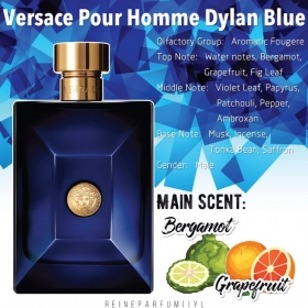 ورساچه پور هوم دیلن بلو مردVersace Pour Homme Dylan Blue